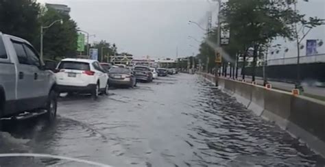 toronto rainfall last 24 hours